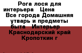 Рога лося для интерьера › Цена ­ 3 300 - Все города Домашняя утварь и предметы быта » Интерьер   . Краснодарский край,Кропоткин г.